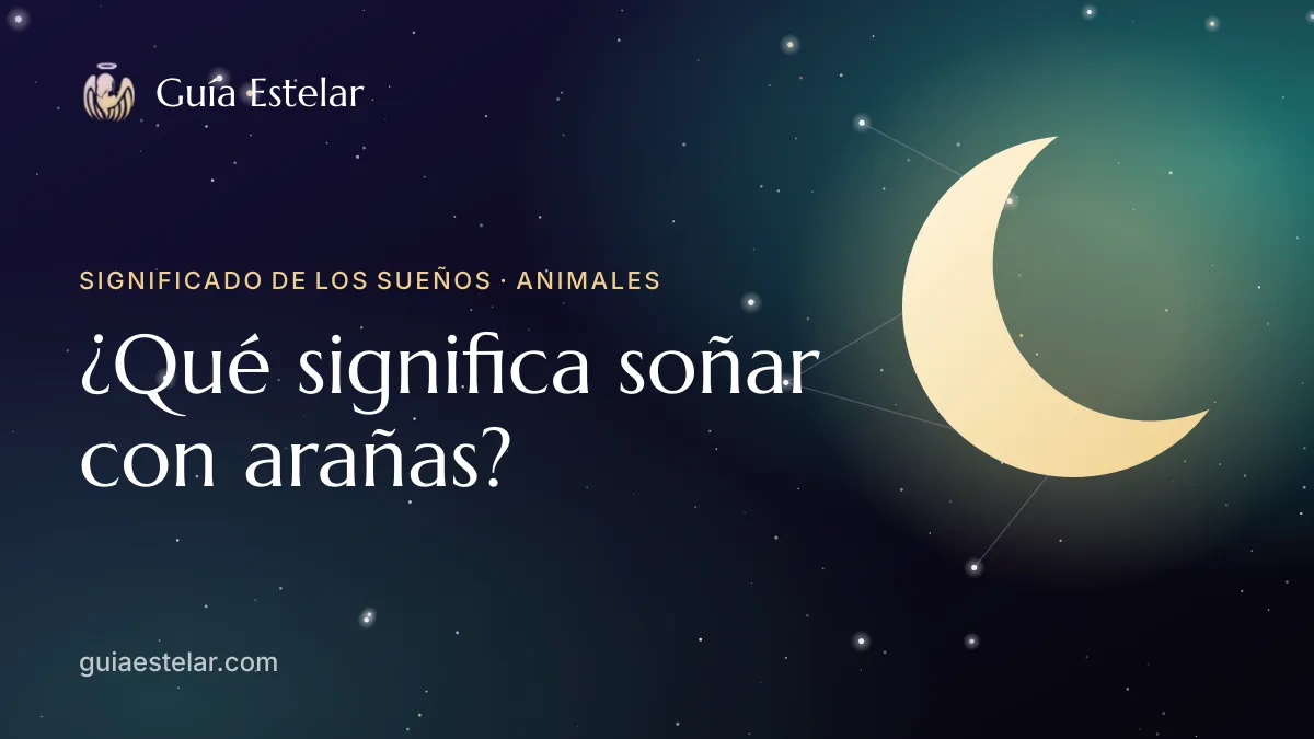 Portada de «¿Qué significa soñar con arañas?»