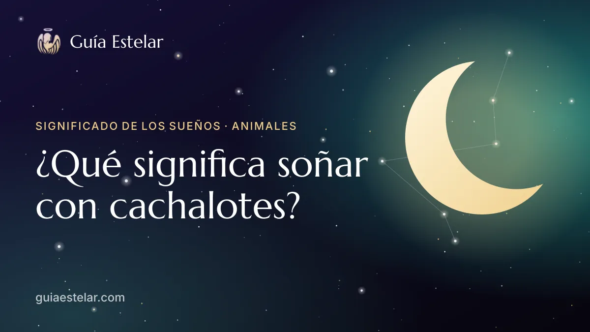 Portada de «¿Qué significa soñar con cachalotes?»