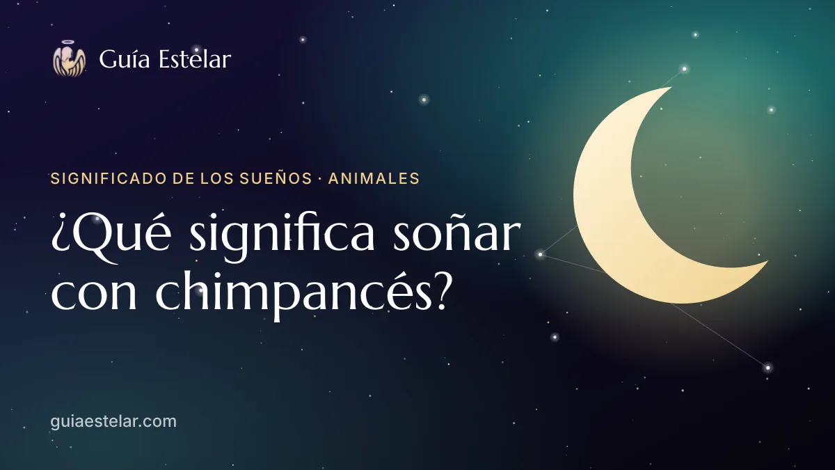 Portada de «¿Qué significa soñar con chimpancés?»