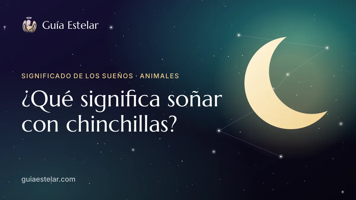 Portada de «¿Qué significa soñar con chinchillas?»