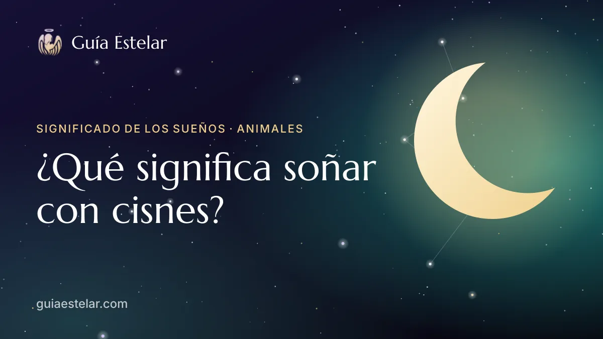 Portada de «¿Qué significa soñar con cisnes?»