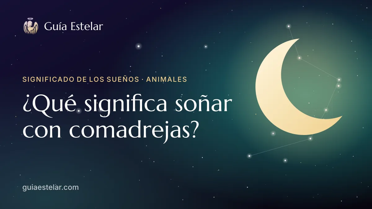 Portada de «¿Qué significa soñar con comadrejas?»