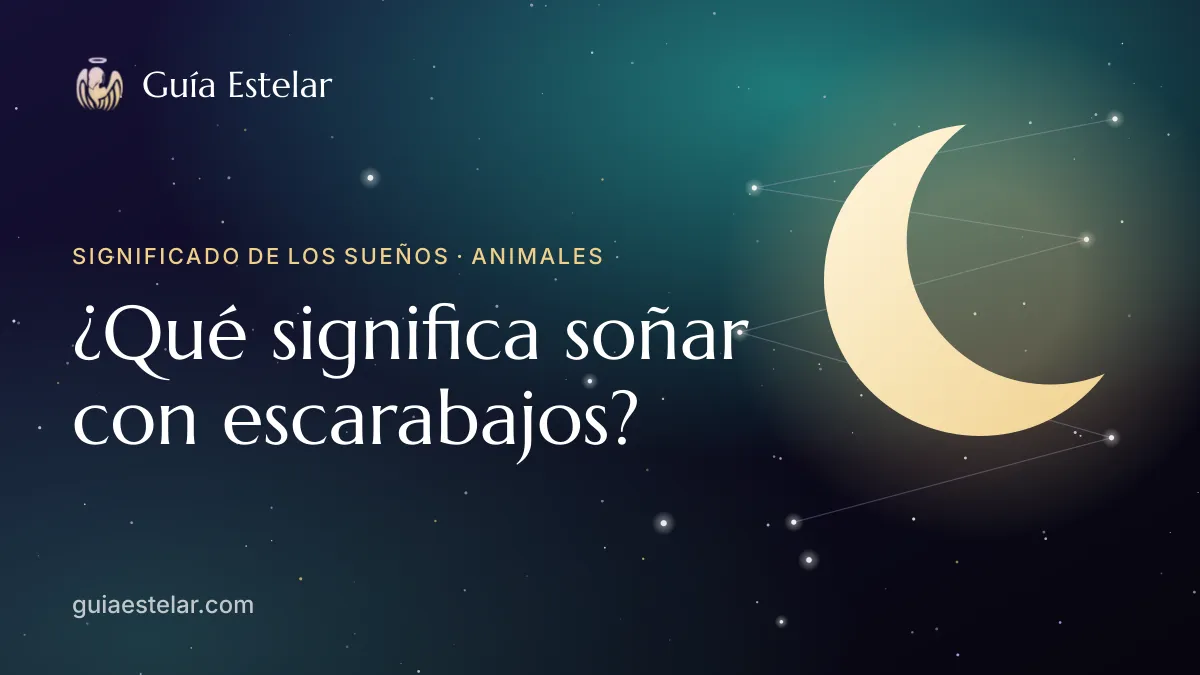 Portada de «¿Qué significa soñar con escarabajos?»