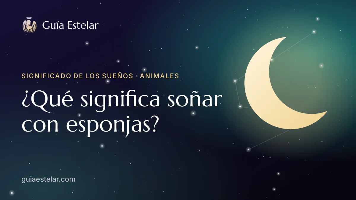 Portada de «¿Qué significa soñar con esponjas?»