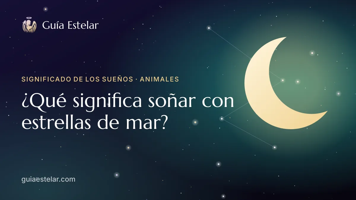 Portada de «¿Qué significa soñar con estrellas de mar?»