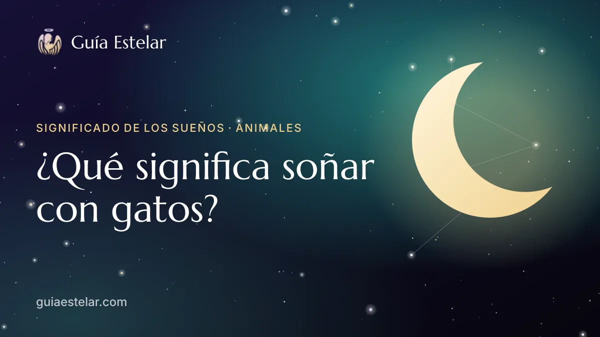 Portada de «¿Qué significa soñar con gatos?»