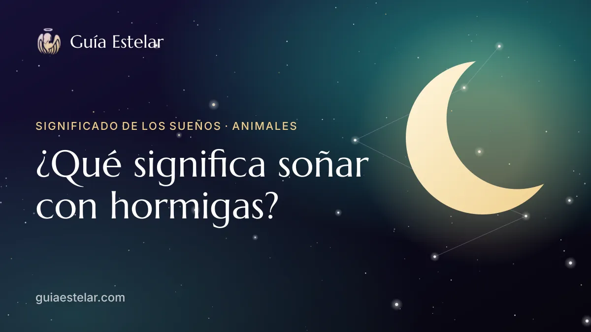 Portada de «¿Qué significa soñar con hormigas?»